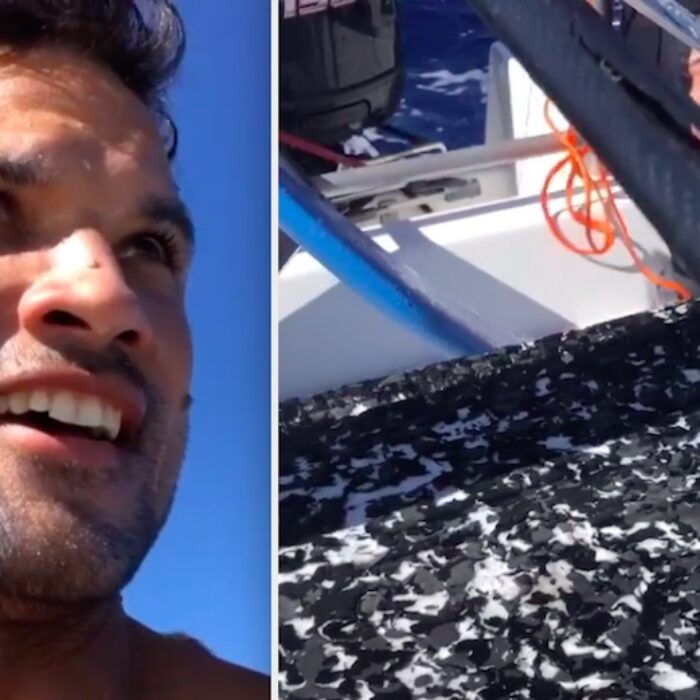 Professional Surfer Michel Bourez Attacked by Shark While Foiling