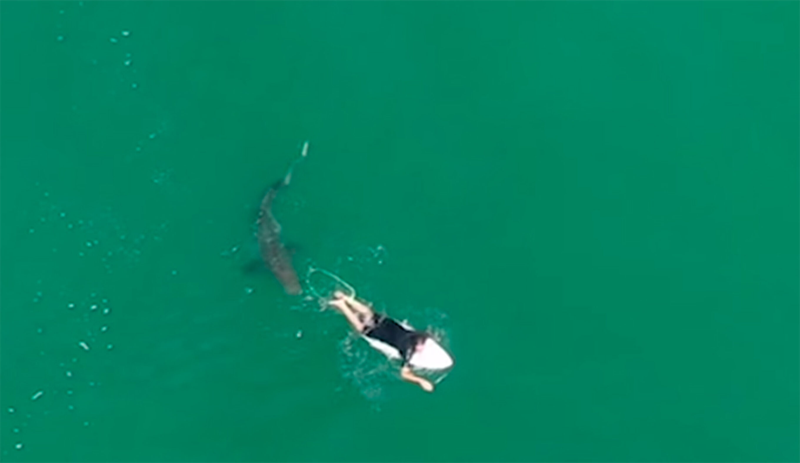 Drone Captures Intense Footage of Professional Surfer Matt Wilkinson's Shark Encounter