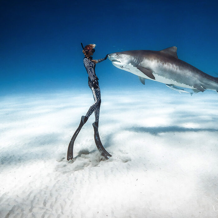 Ocean Ramsey Shark Deter Juan Sharks