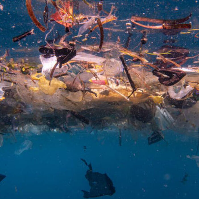 Plastic in ocean