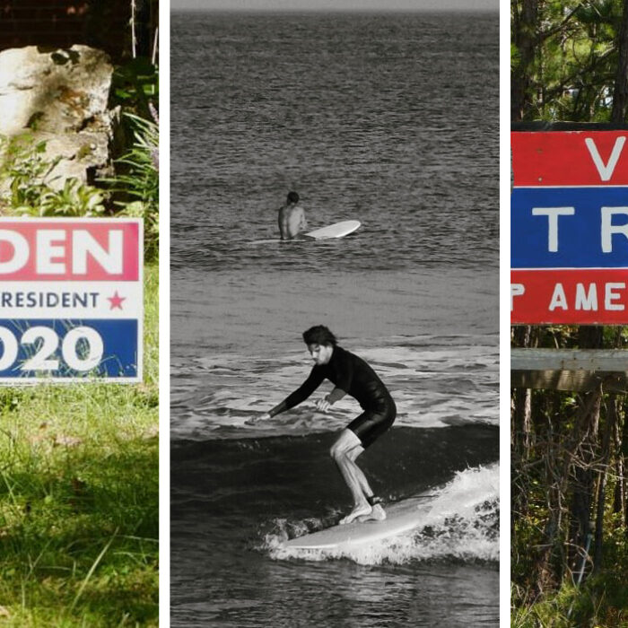 campaign signs, 2020 election,