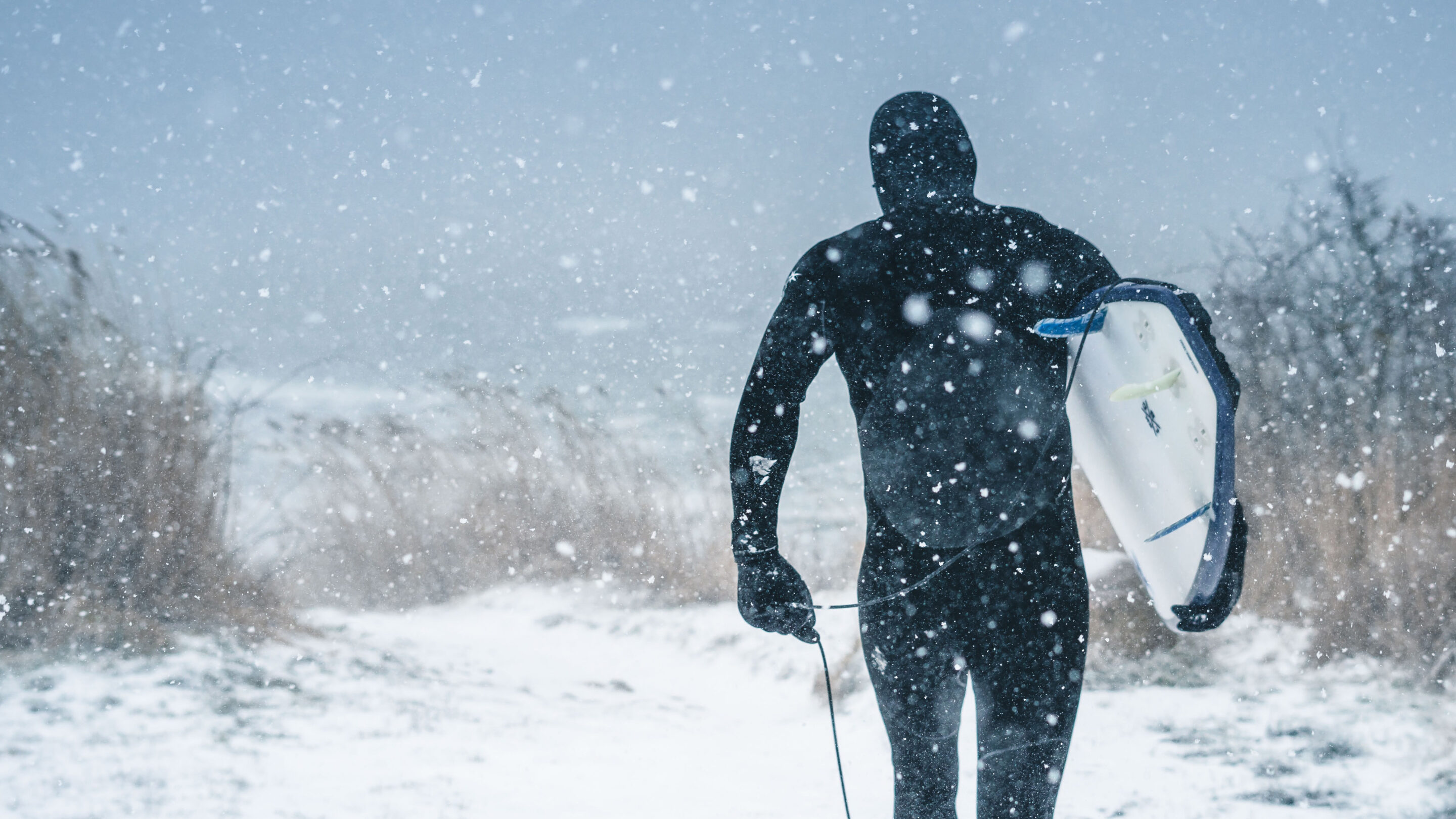 Winter Surfer and Snow
