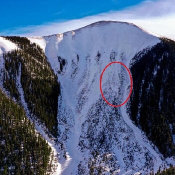 avalanche near ophir pass claims two lives in CO