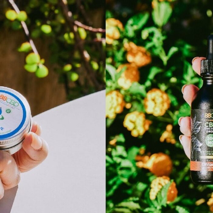 a88cbd muscle salve and tincture