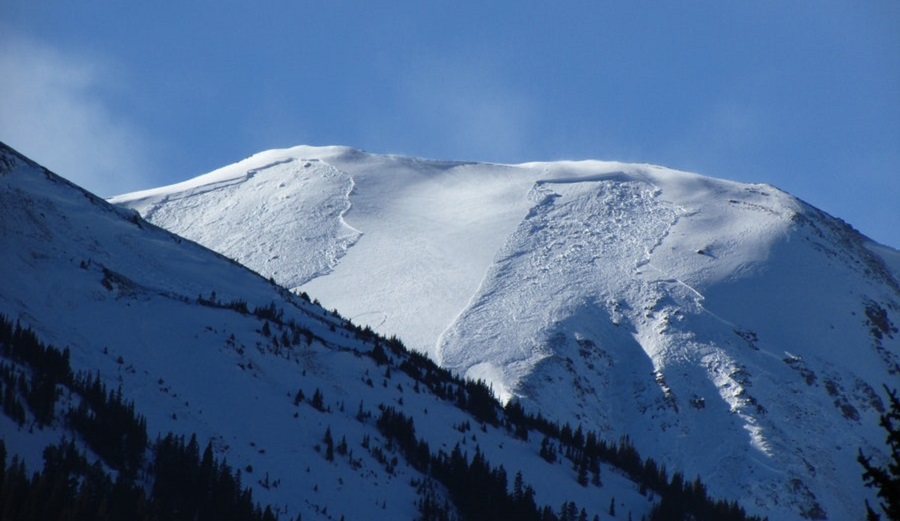 The 5 Best Avalanche Beacons for Backcountry Skiing and Riding The
