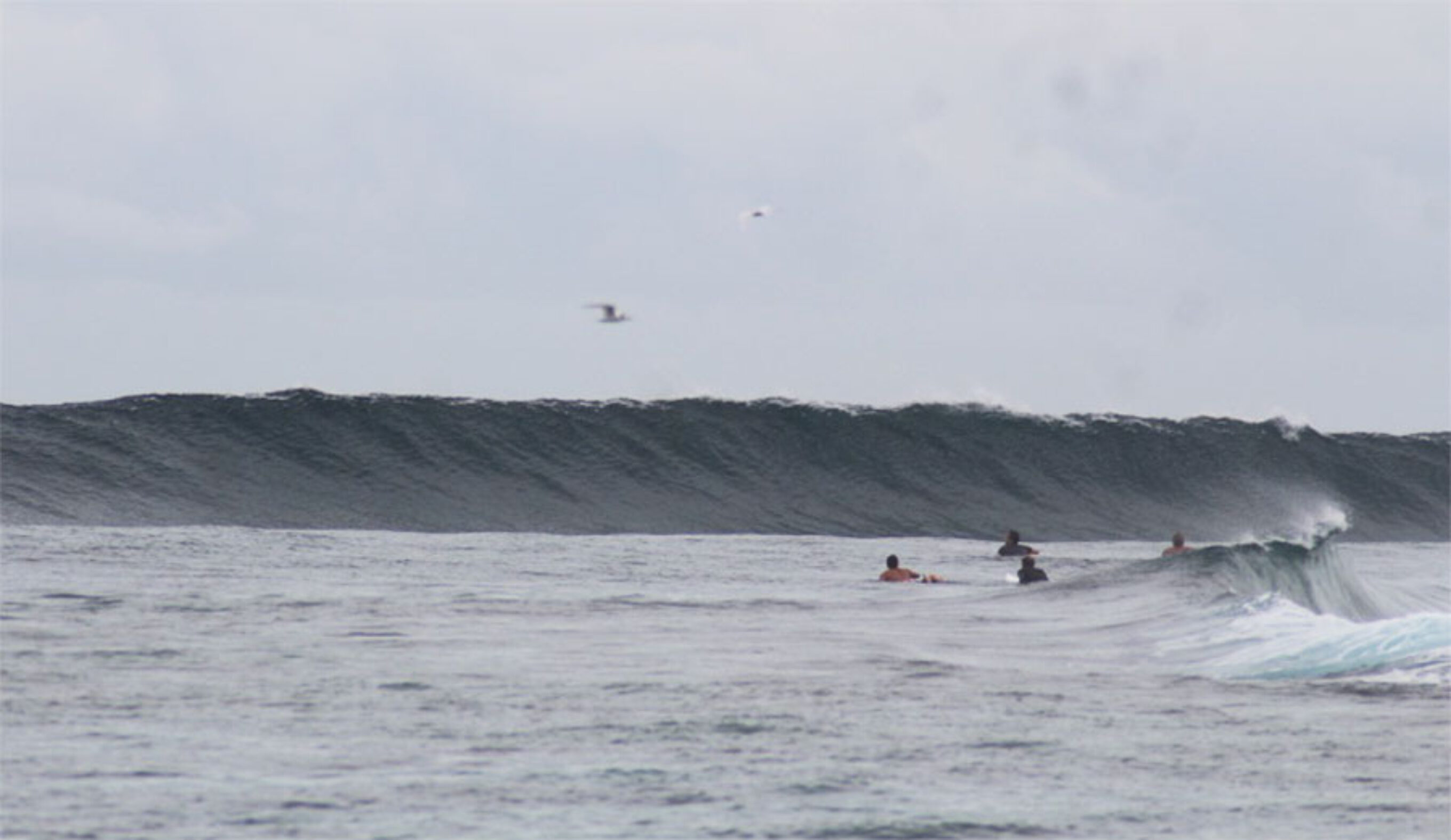 Surfers in lineup in the Maldives