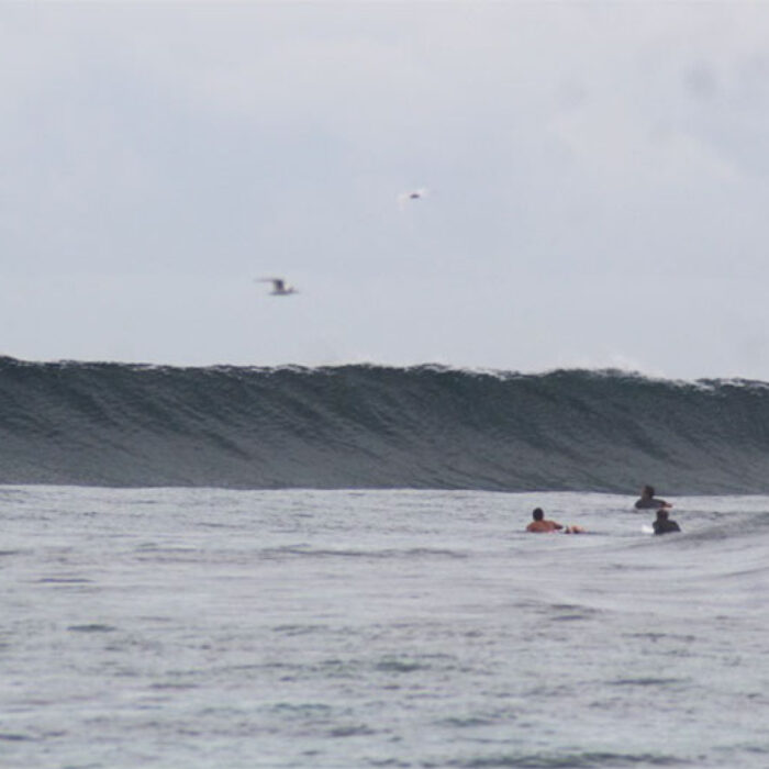 Surfers in lineup in the Maldives