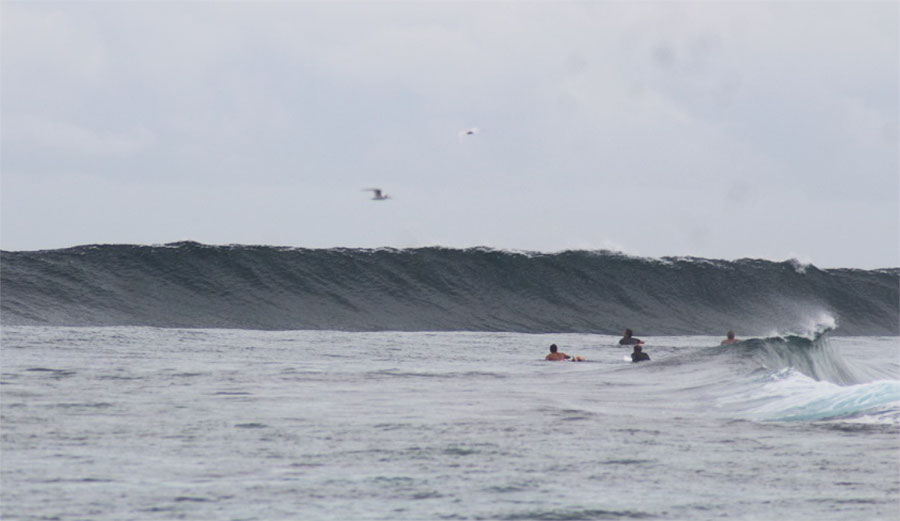 Surfers in lineup in the Maldives