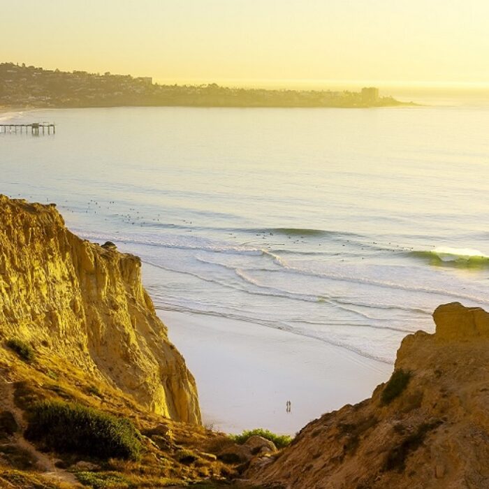 Black gold at blacks beach in san diego, january 2021. photo by sean diaz