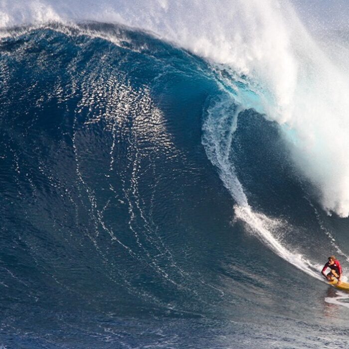 ridge lenny jaws from nomad aaron lynton