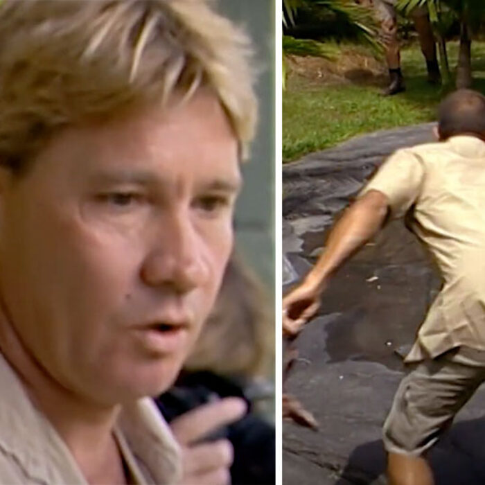 Kelly Slater and Steve Irwin feeding alligators