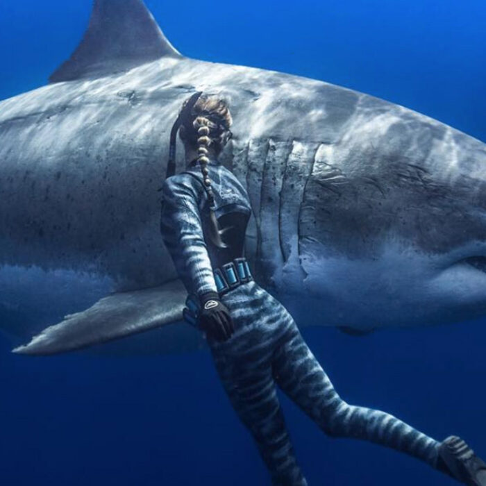 Ocean Ramsey Grandma Great White