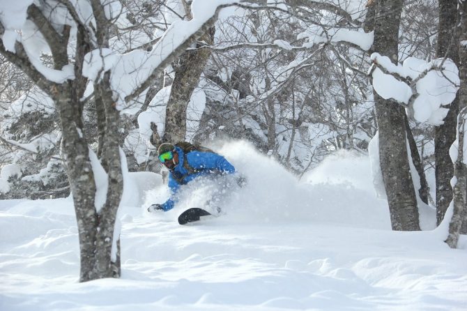 powder snowboarding at Hachimantai ski resort japan