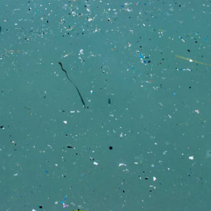 plastic in the water
