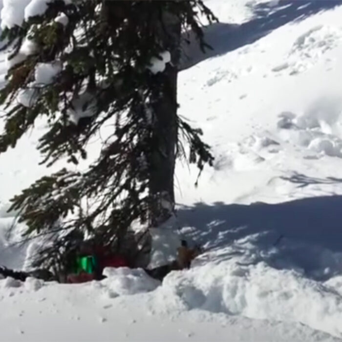 Skier Chris Davenport demonstrates tree well immersion