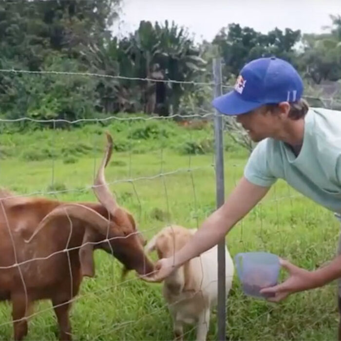 Ian Walsh feeding goats