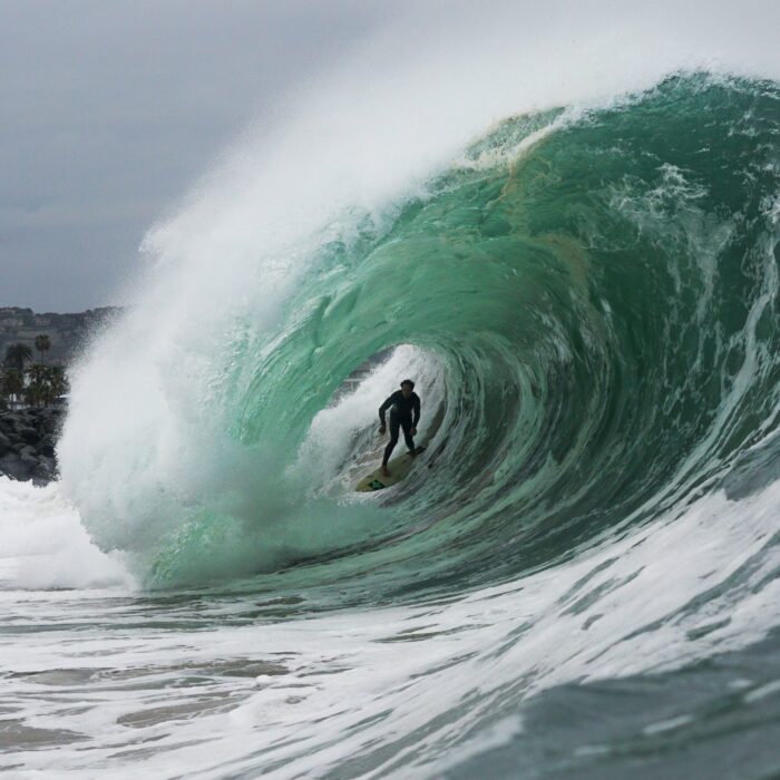 wedge, tommy cantrell, james ferrell