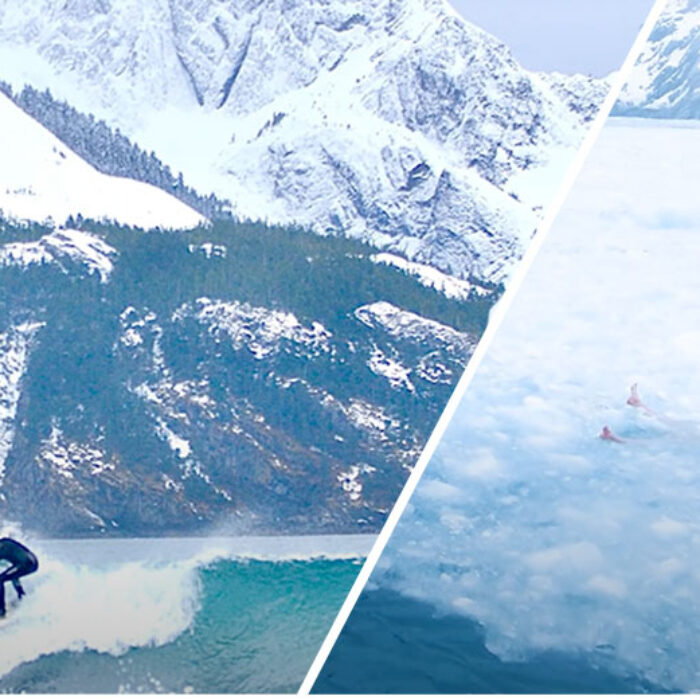 Steve-O surfing in Alaska