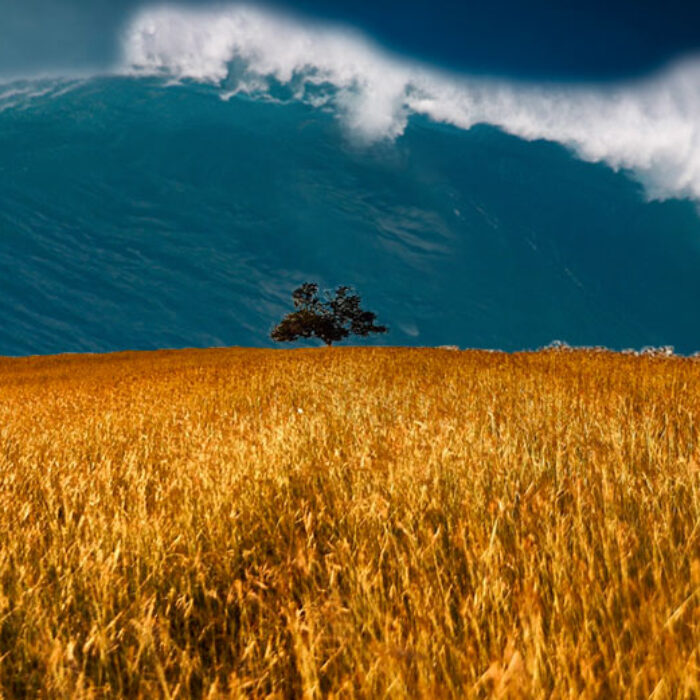 big wave in field