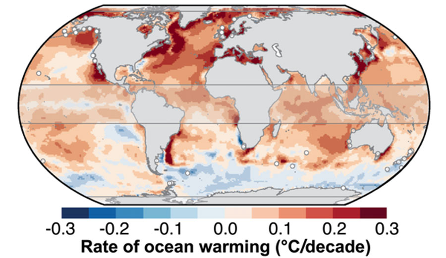 Rate of warming of the surface ocean over the past 50 years.