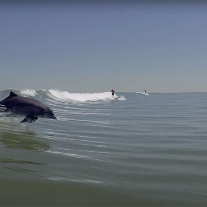 Dylan Graves tanker surfing