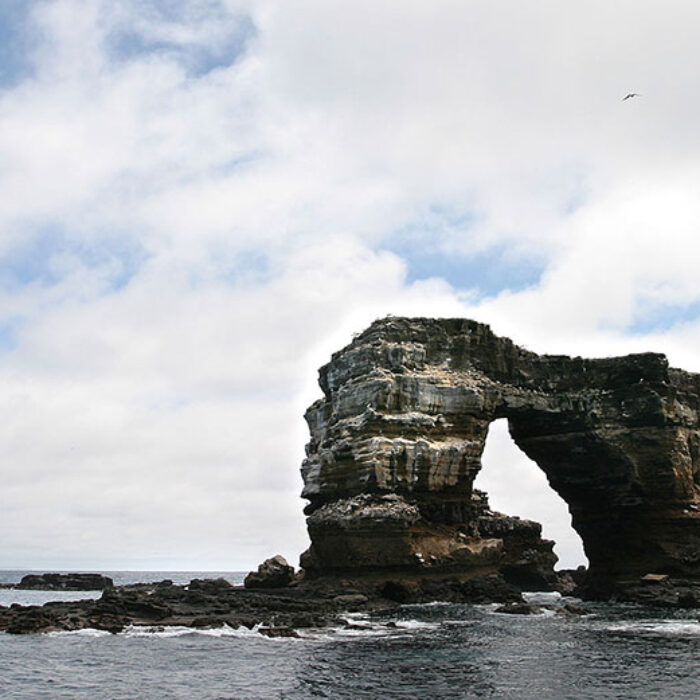Darwin's Arch
