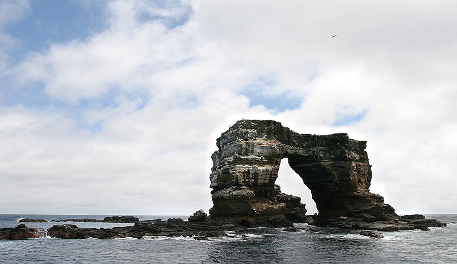 Darwin's Arch