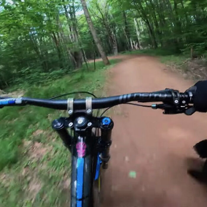 a mountain biker runs into a bear cub