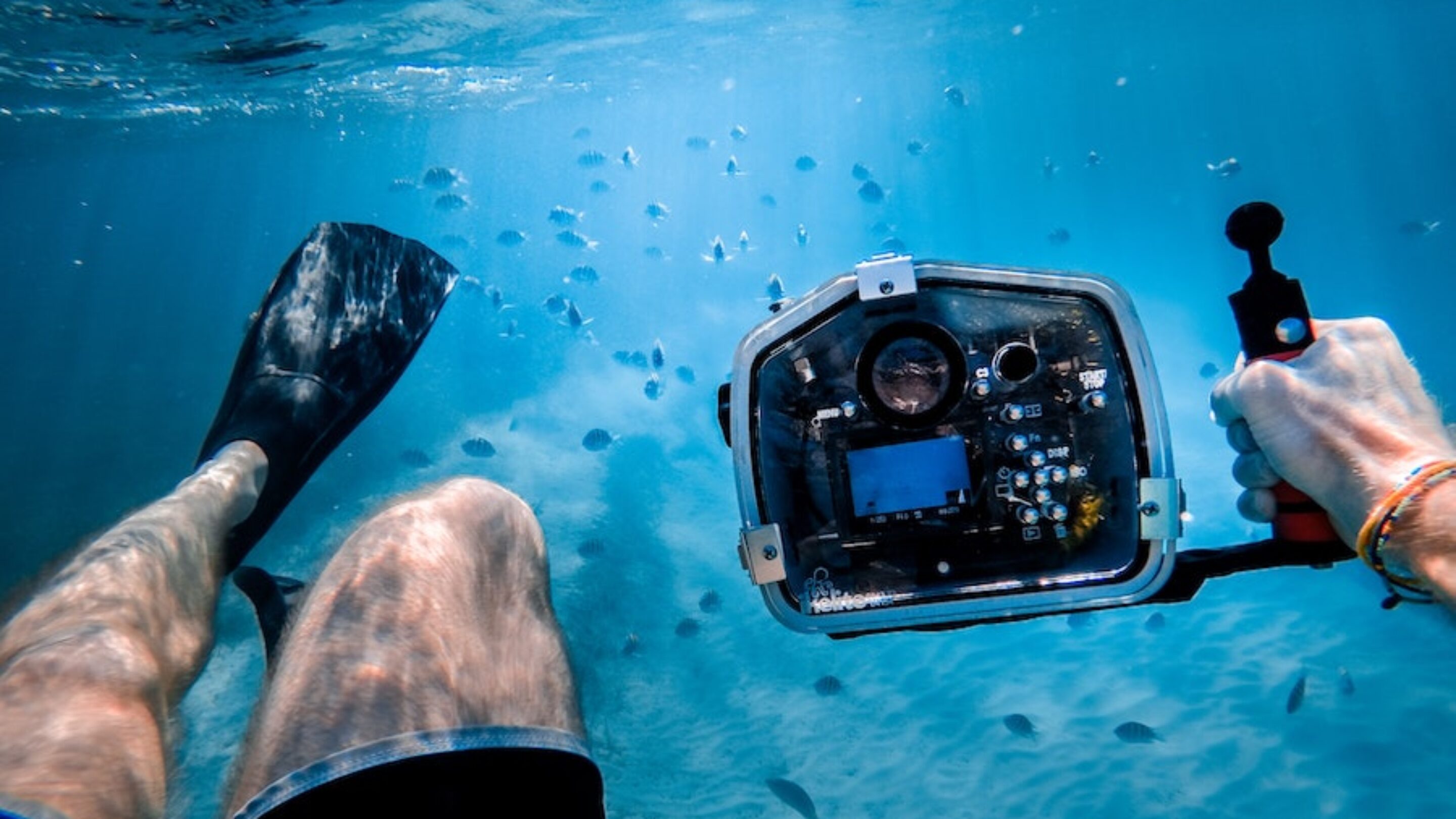 jakob owens via unsplash underwater photography