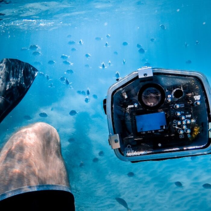 jakob owens via unsplash underwater photography