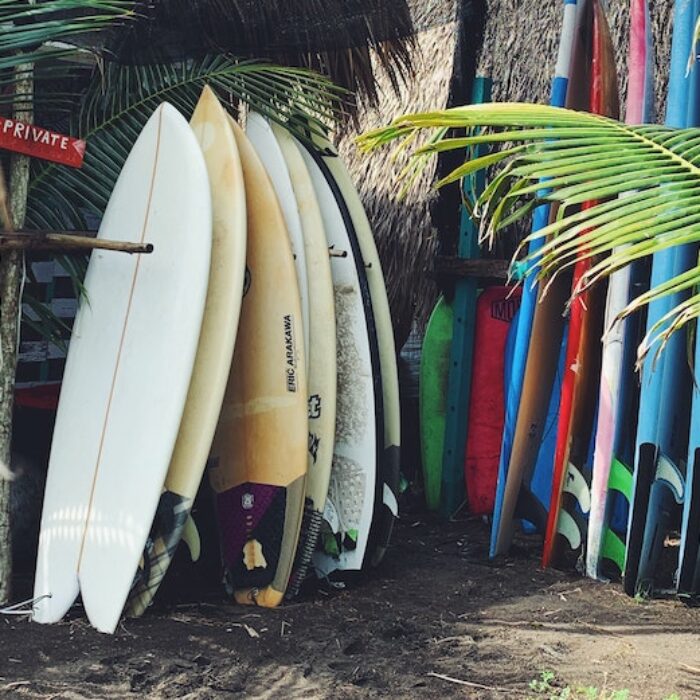 surfboards in the rainforest costa rica