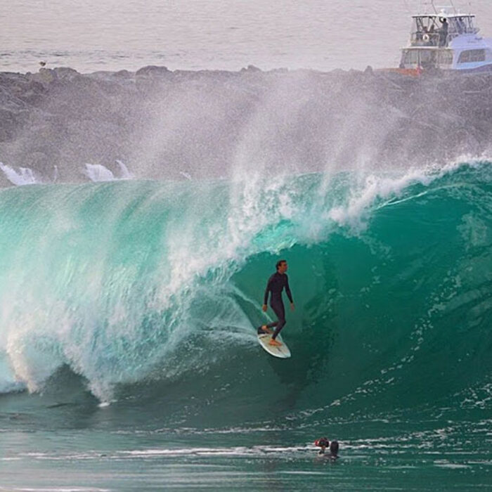 surfing at the Wedge