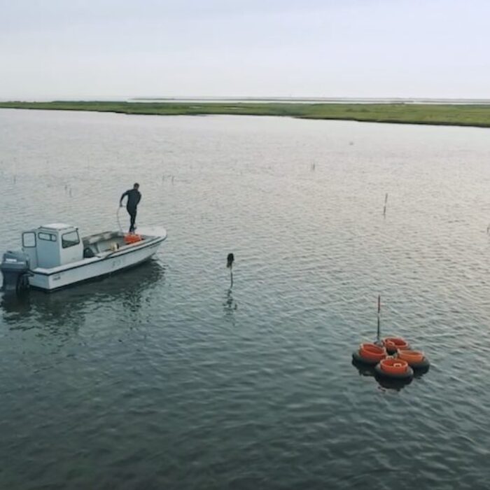 jetty highwater healing initiative
