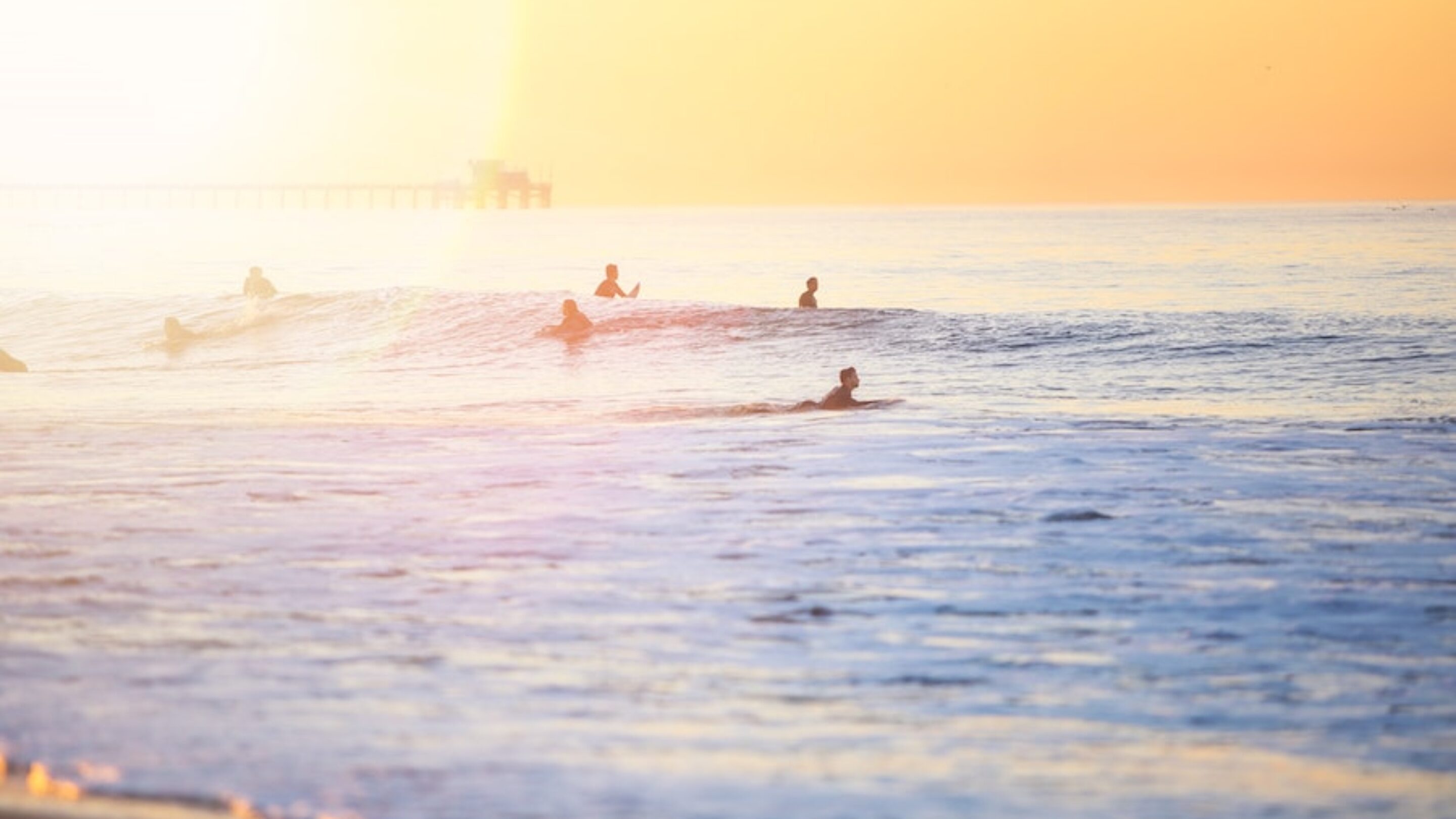surfers at sunset