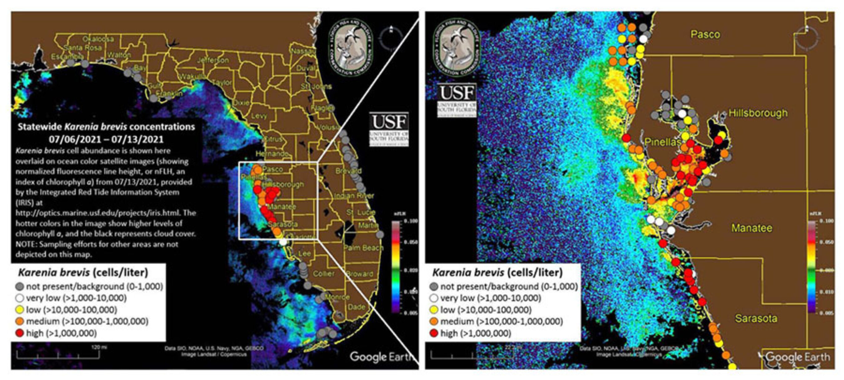 Florida red tide status map