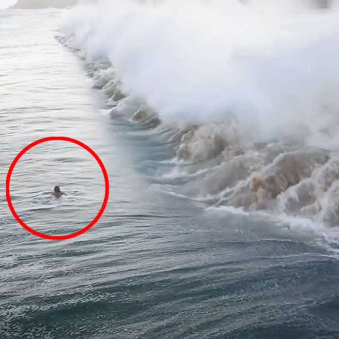 A mistake in Cabo San Lucas