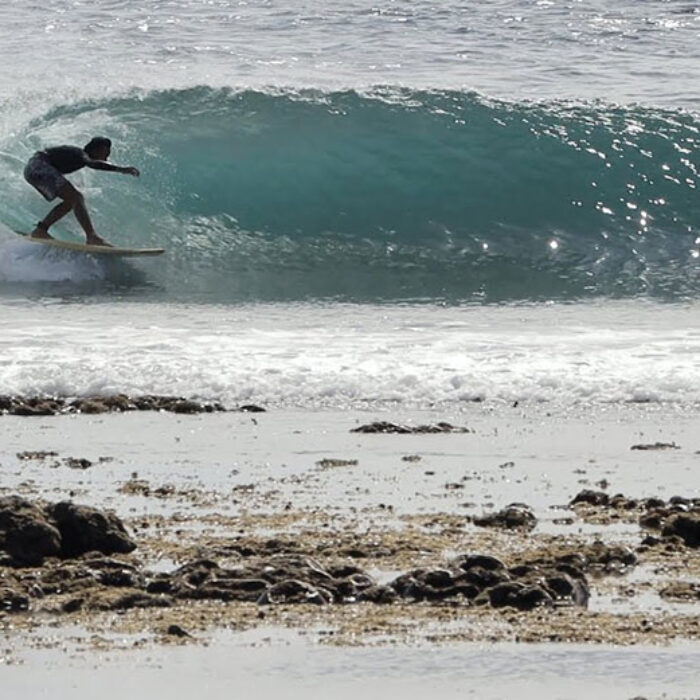 shallow reef tubes in lombok