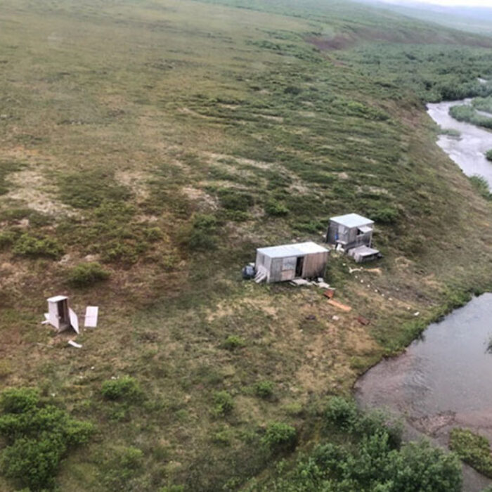 mining claim where bear attacked a man