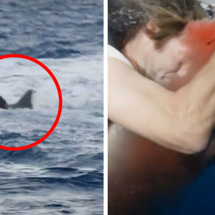 Poopies' Jackass shark attack on camera
