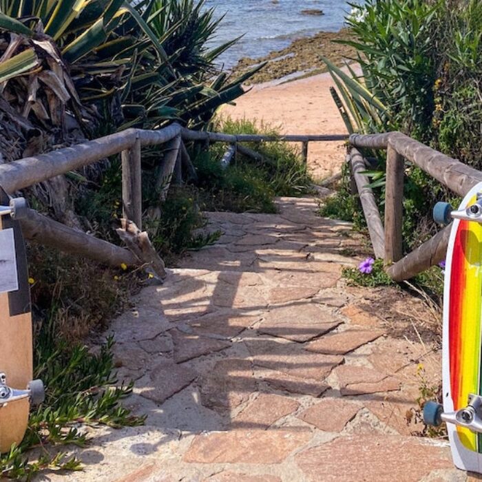 surfskate