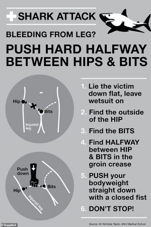 push hard halfway between the hips and the bits