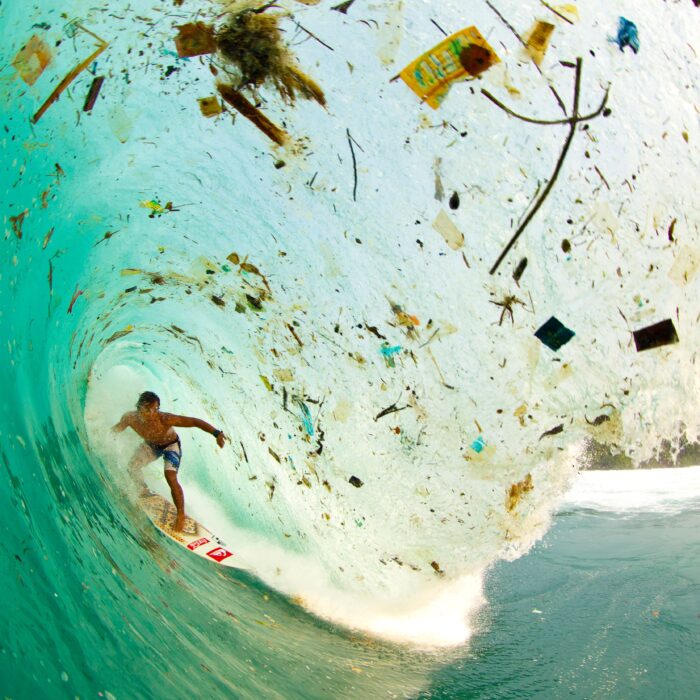 Zak Noyle Wave of Change