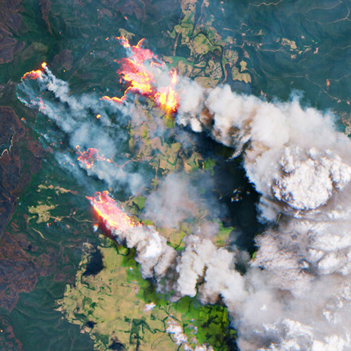 Black Summer fires