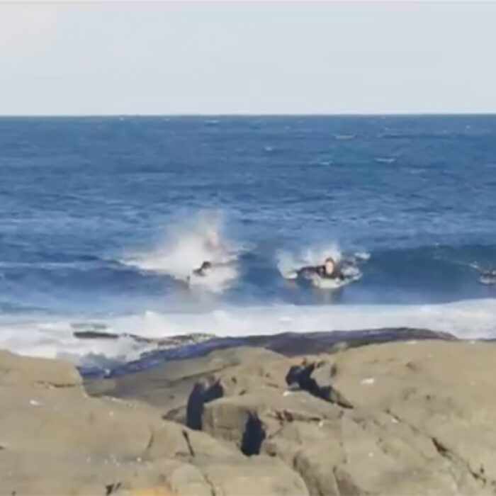 These Australian Surfers Were Chased From the Water by a Great White Shark