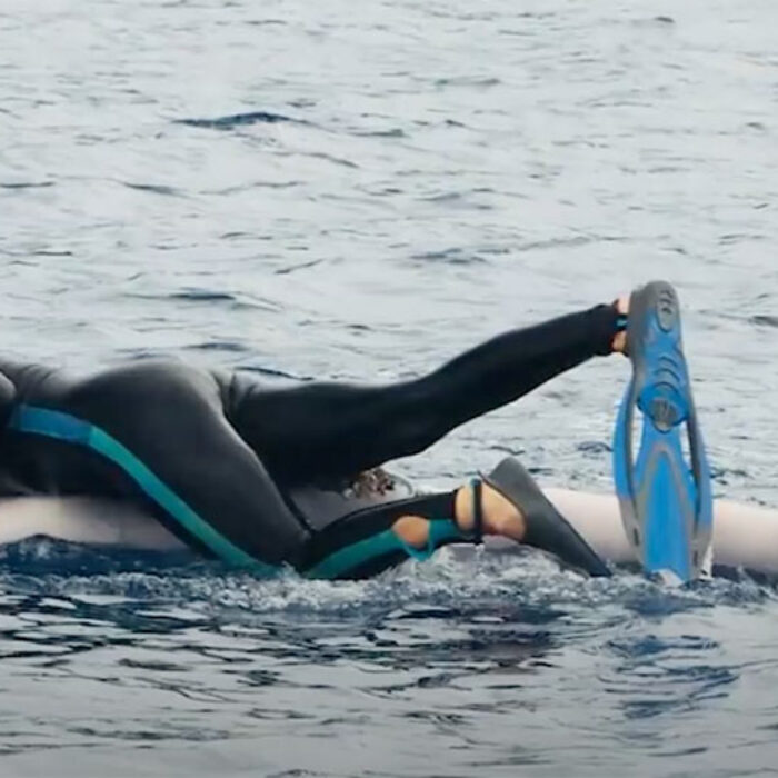 humpback whale saving scientist