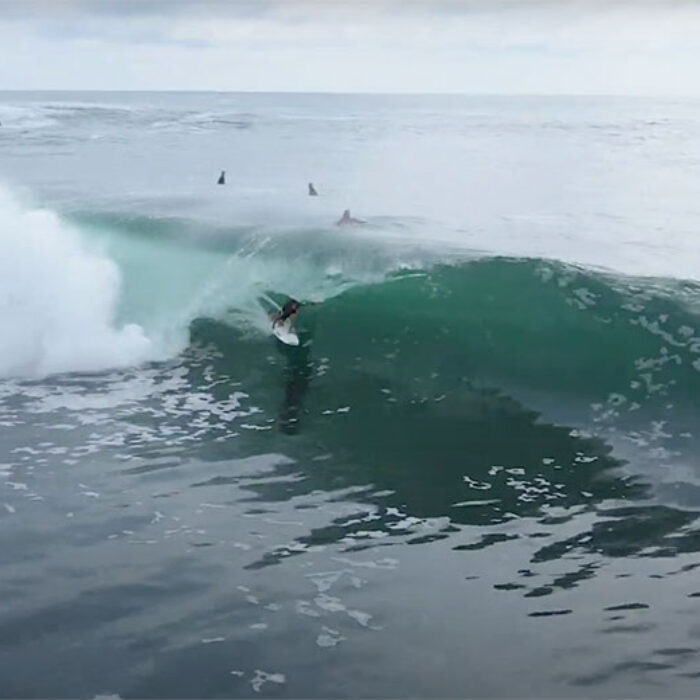surfing in Java