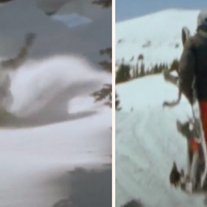 This Snowboard Film Shot Last Winter on a Super 8 Camera from the 1960s Will Fire You Up