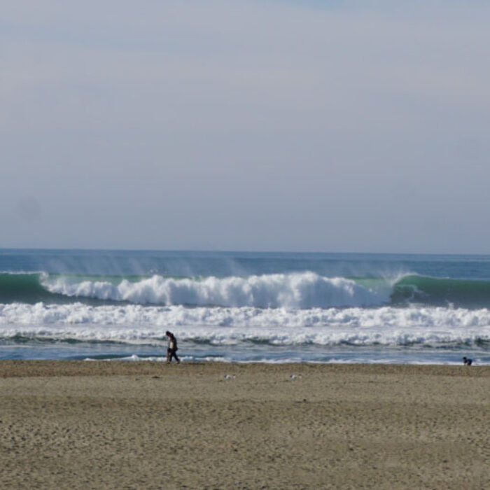 ocean beach thanksgiving leftovers 2021