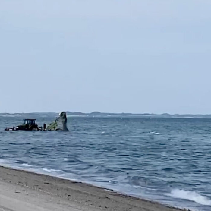 Danish Community beach cleanup