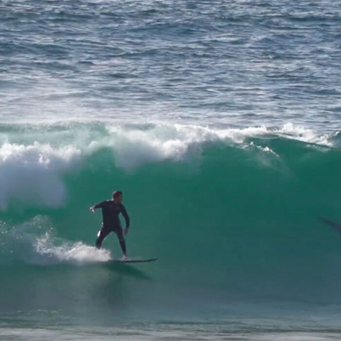 surfing with dolphins at Blacks beach